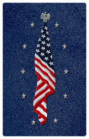 DNSHERT C 421 SH BL Flag at Rest Shimmer Blue